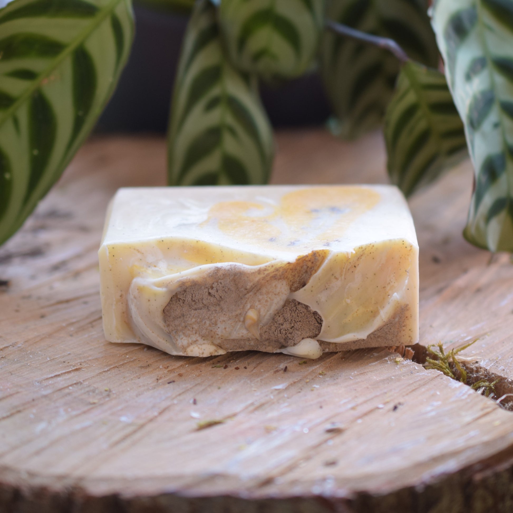 Bar of soap with a marbled pattern on a wooden surface with green leafy plants in the background
