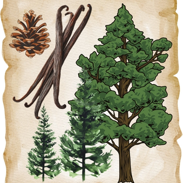 The Greatest Cedar of All Perfume Oil