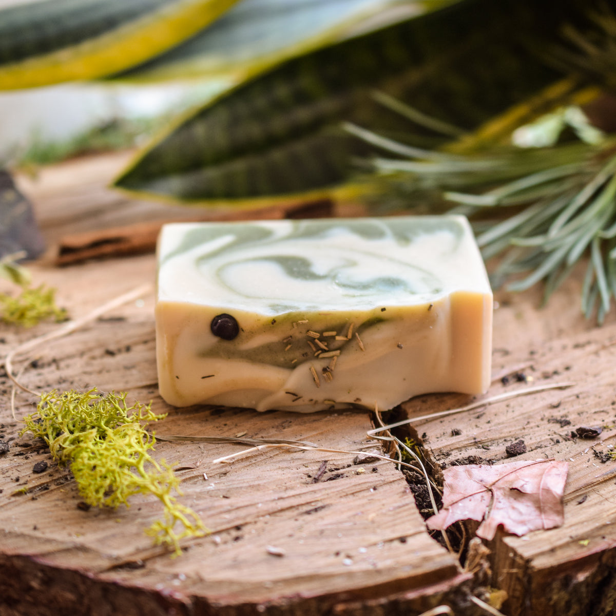 A handmade rectangular bar of soap with a swirled green and cream pattern, resting on a rustic wooden surface with moss, dried leaves, and greenery in the background.